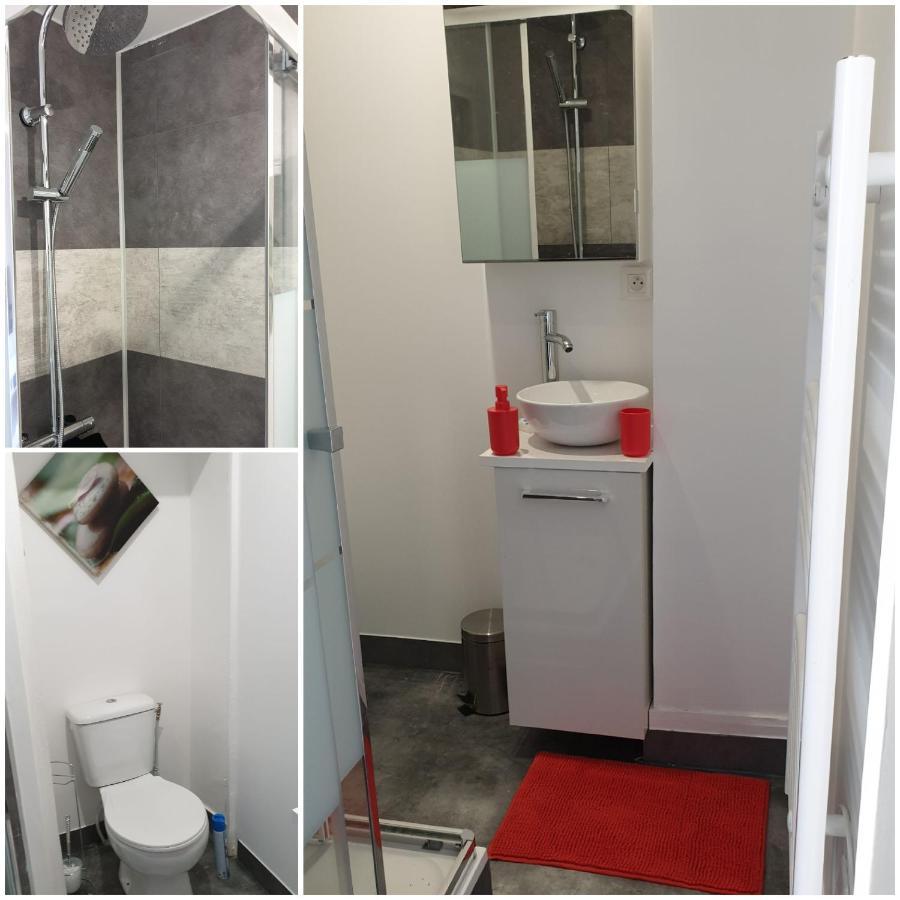 Chambres Poitiers Centre Ville - Salle De Bain, Refrigerateur, Tv Et Machine A Cafe Privatifs - Cuisine Commune - Terrasse - Hotel De Ville A 200M Eksteriør bilde